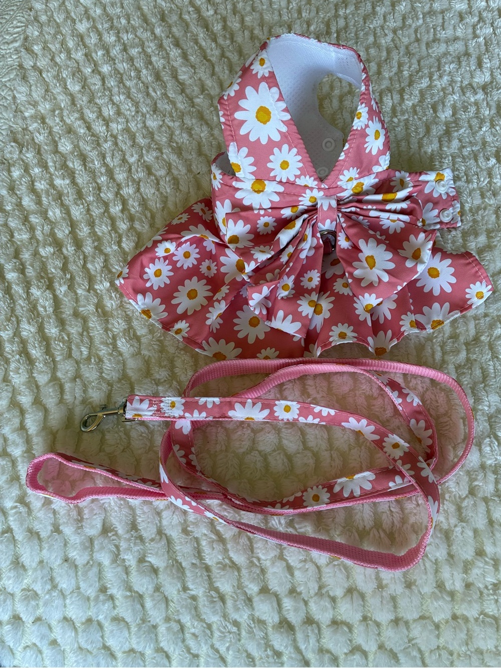 Dog Dress and Matching Leash